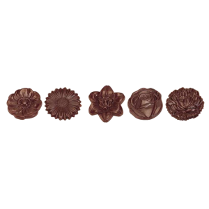 Chocolate Mold / CW1048