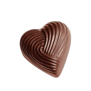 Chocolate Mold / CW1513