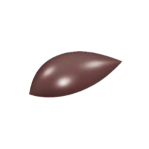 Chocolate Mold / CW1673