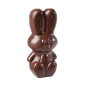 Chocolate Mold / CW1739
