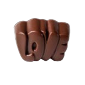 Chocolate Mold / CW1744