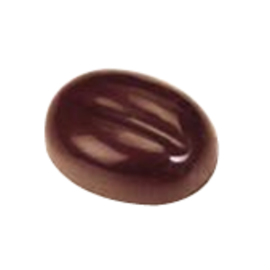 Chocolate Mold / CW2028